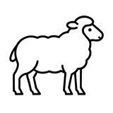 Schaap.jpg